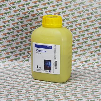 Cantus 1 Kg