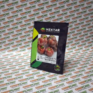 F1 HEKTAR - Ardei gogoșar TIBERIUS F1 100 seminte