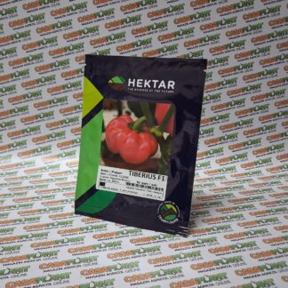 F1 HEKTAR - Ardei gogoșar TIBERIUS F1 50 seminte